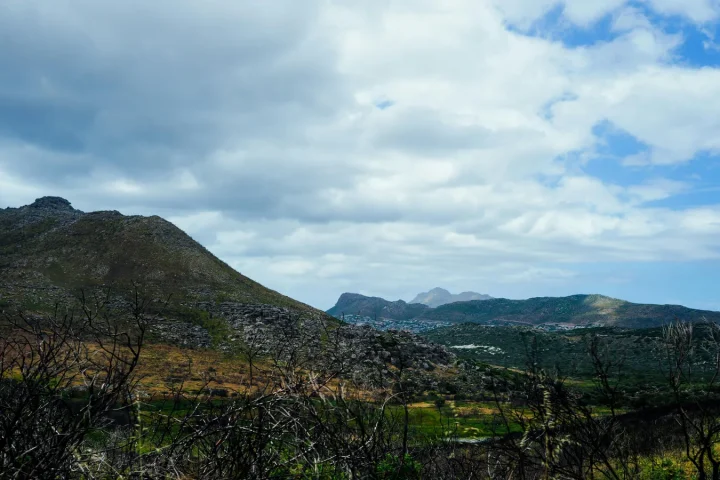 Partir en Afrique du Sud en famille demande de bien doser safaris et distances