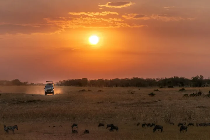 Safari en Tanzanie avec des enfants : ce qu&rsquo;il faut vraiment savoir avant de partir