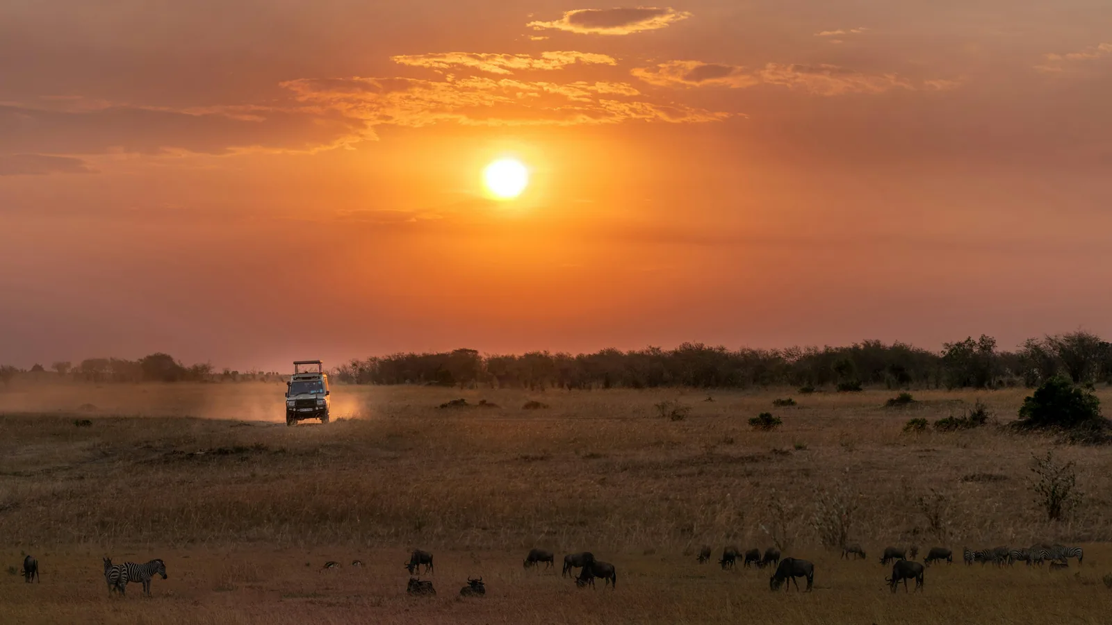 Safari en Tanzanie avec des enfants : ce qu&rsquo;il faut vraiment savoir avant de partir