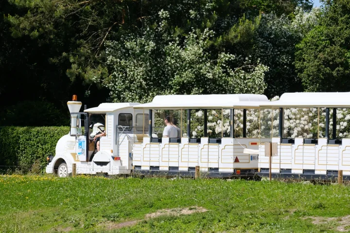 Un train touristique avec enfant vaut le coup quand la durée reste adaptée