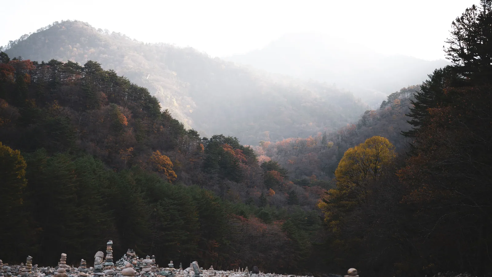 Voyage en automne avec des enfants : comment choisir sans se tromper de destination