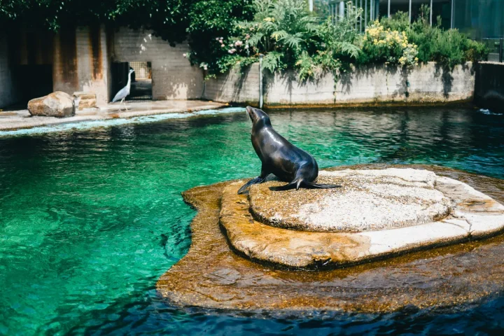 Un zoo ou un aquarium en voyage doit rester une vraie pause, pas une journée sacrifiée