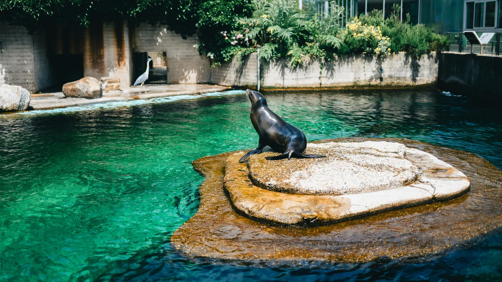 Un zoo ou un aquarium en voyage doit rester une vraie pause, pas une journée sacrifiée