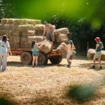 Fermes pédagogiques en vacances : comment choisir celle qui vaut vraiment l&rsquo;arrêt