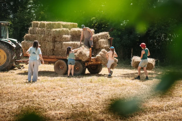 Fermes pédagogiques en vacances : comment choisir celle qui vaut vraiment l&rsquo;arrêt